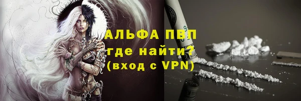 амф Верея