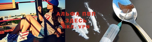 гидропоника Бородино