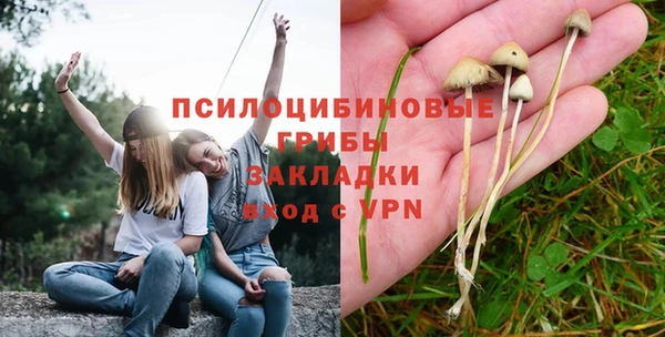амф Верея