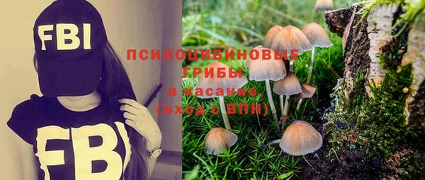 амф Верея