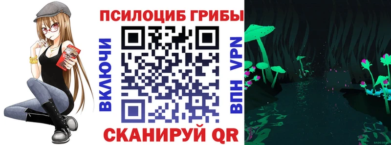 цена Княгинино Псилоцибиновые грибы ЛСД
